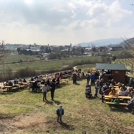 Ferienhaus Gimmeldingen Нойштадт-ан-дер-Вайнштрасе